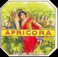 Africora outer cigar box label