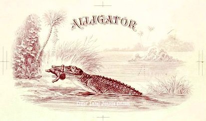 Alligator prf- cigar box label