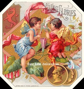 Young Glories- cigar box label