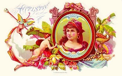 Artistic cigar box label