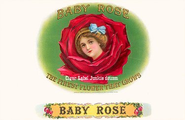 Baby Rose cigar box label