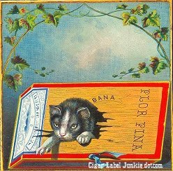 Bana- cigar label