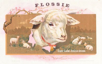 Flossie- cigar box label