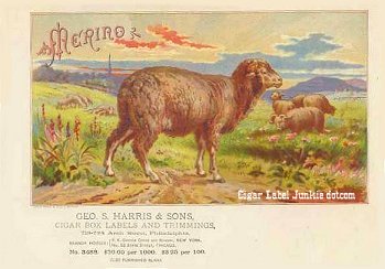 Merino- cigar box label