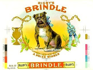 Brindle- cigar box label