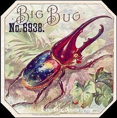 Big Bug- cigar box label