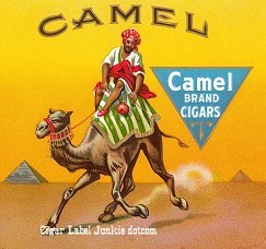 Camel cigar box label