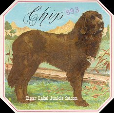 Chip cigar box label