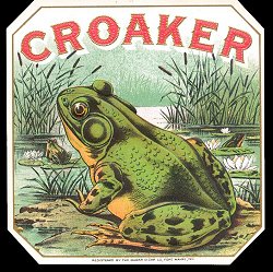 Croaker