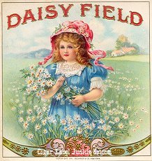 Daisy Field cigar label