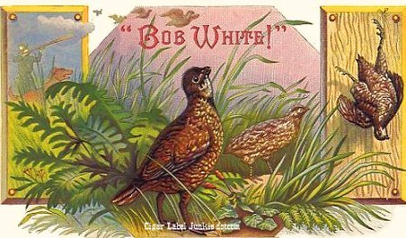 Bob White 2- cigar box label