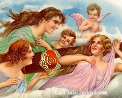 FD Cielo cigar box label