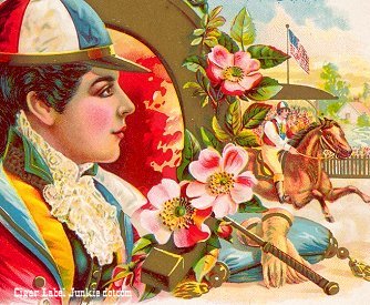 Fav Colors- cigar box label
