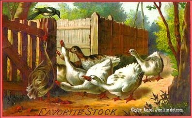 Fav Stock- cigar box label