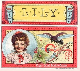 Lily- cigar box label