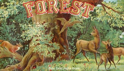 Forest- cigar box label