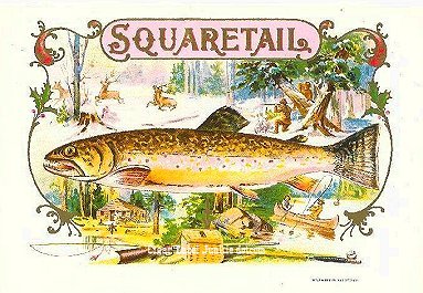 Squaretail trout- cigar box label