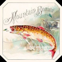Mountain Beauty- cigar box label