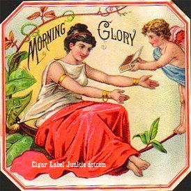Morning Glories- cigar box label