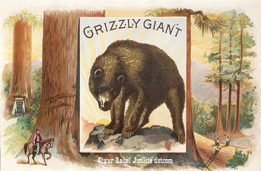 Grizzly Giant- cigar box label
