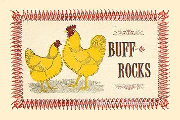 Buff Rocks- cigar box label
