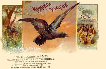 Homing- cigar box label