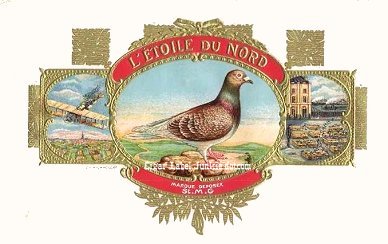 L'Etoile- cigar box label