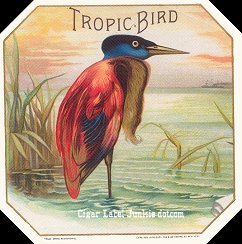 Tropic- cigar box label