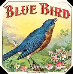 Blue Bird- cigar box label