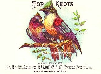 Top Knots- cigar box label