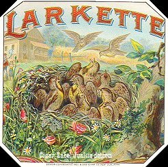 Larkette- cigar box label