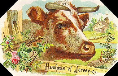 Duchess of Jersey- cigar box label