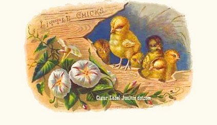 Little Chicks- cigar box label