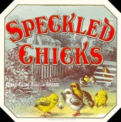 Speckled Chicks- cigar box label