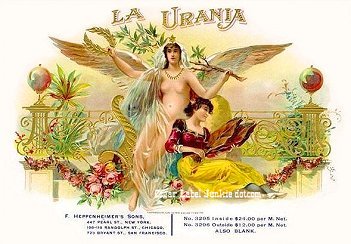 La Urania- cigar box label