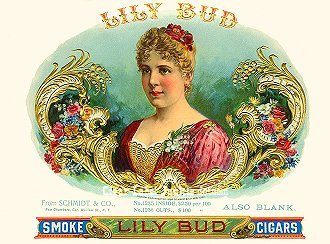 Lily Bud cigar box label