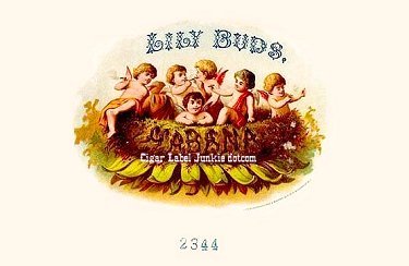 Lily Buds-cigar box label