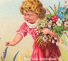 Little Collector cigar box label