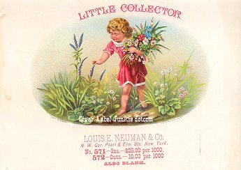 Little Collector inner cigar label