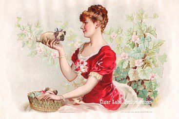 Little Wonder- cigar box label
