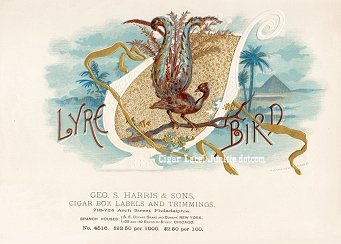 Lyre Bird cigar box label