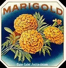 Marigold cigar label