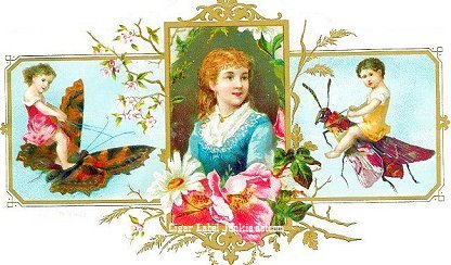 UT Children/Insects- cigar box label