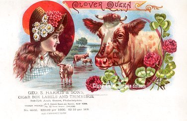 Clover Queen- cigar box label