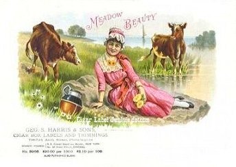 Meadow Beauty- cigar box label