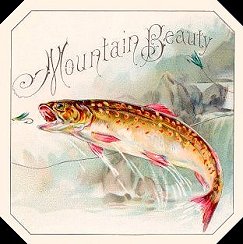 Mount Beauty cigar box label