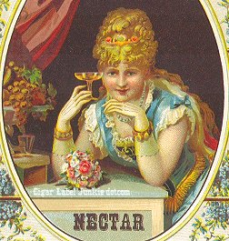 Nector-cigar box label