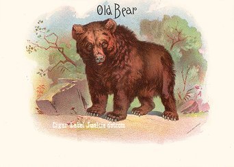 Old Bear- cigar box label