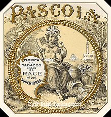 Pascola cigar box label