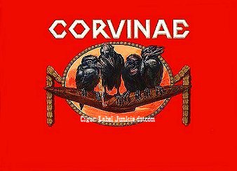 Corvinae- cigar box label